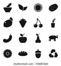 16 vector icon set : berry, cherry, seedling, eggplant, apple, pear, sheep, flower, bread, acorn, recycling