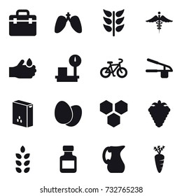 16 vector icon set : bike, garlic clasp, honeycombs, berry, spikelets, pills bottle, jug, carrot