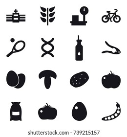 16 vector icon set : bike, tennis, walnut crack, flour, tomato, egg, peas