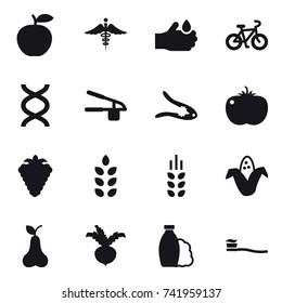 16 vector icon set : bike, garlic clasp, walnut crack, berry, spikelets, corn, pear, beet, shampoo, tooth brush