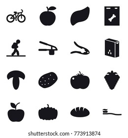 16 vector icon set : bike, tourist, garlic clasp, walnut crack, berry, apple, pumpkin, bread, tooth brush