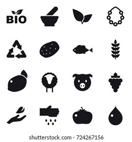 16 vector icon set : bio, hawaiian wreath, sheep, pig, grape, hand leaf, sow, tomato, drop