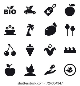 16 vector icon set : bio, eco car, flower bed, palm, trees, cherry, grape, corn, seedling, apple, sprouting, hand leaf, ecology
