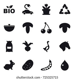 16 vector icon set : bio, electric car, flower, cauldron, cherry, mushroom, flour, beet, goose, horse, rabbit, potato, peas, drop