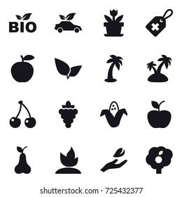 16 vector icon set : bio, eco car, flower, palm, island, cherry, grape, corn, apple, pear, sprouting, hand leaf, garden