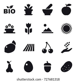 16 vector icon set : bio, flower, flower bed, landscape, field, cherry, harvest, pear, egg, acorn, potato