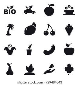 16 vector icon set : bio, eco car, flower bed, palm, cherry, grape, corn, seedling, eggplant, apple, pear, sprouting, hand leaf, maple leaf
