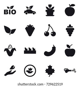 16 vector icon set : bio, eco car, flower, berry, cherry, grape, corn, seedling, eggplant, apple, hand leaf, ecology, maple leaf, blower
