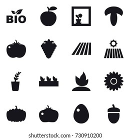 16 vector icon set : bio, flower in window, berry, field, seedling, sprouting, flower, pumpkin, tomato, egg, acorn