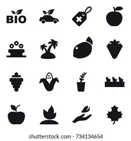 16 vector icon set : bio, eco car, flower bed, island, berry, grape, corn, seedling, apple, sprouting, hand leaf, maple leaf