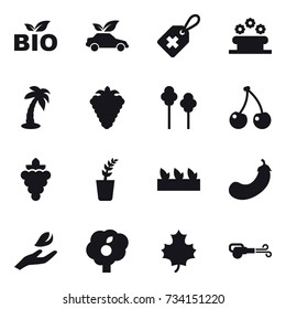 16 vector icon set : bio, eco car, flower bed, palm, berry, trees, cherry, grape, seedling, eggplant, hand leaf, garden, maple leaf, blower