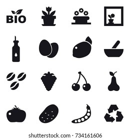 16 vector icon set : bio, flower, flower bed, flower in window, mortar, coffee seeds, berry, cherry, pear, tomato, potato, peas, recycling