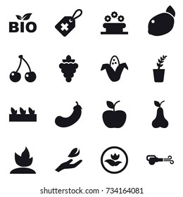 16 vector icon set : bio, flower bed, cherry, grape, corn, seedling, eggplant, apple, pear, sprouting, hand leaf, ecology, blower