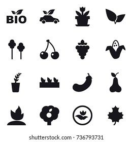 16 vector icon set : bio, eco car, flower, trees, cherry, grape, corn, seedling, eggplant, pear, sprouting, garden, ecology, maple leaf
