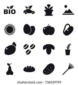 16 vector icon set : bio, eco car, flower, landscape, coffee seeds, mushroom, seedling, pear, bread, potato, rake