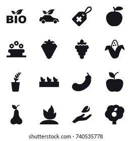16 vector icon set : bio, eco car, flower bed, berry, grape, corn, seedling, eggplant, apple, pear, sprouting, hand leaf, garden