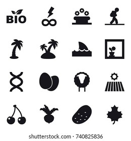 16 vector icon set : bio, infinity power, flower bed, tourist, palm, island, shark flipper, flower in window, sheep, field, cherry, beet, potato, maple leaf