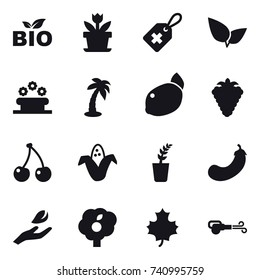 16 vector icon set : bio, flower, flower bed, palm, berry, cherry, corn, seedling, eggplant, hand leaf, garden, maple leaf, blower