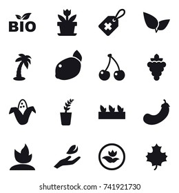 16 vector icon set : bio, flower, palm, cherry, grape, corn, seedling, eggplant, sprouting, hand leaf, ecology, maple leaf