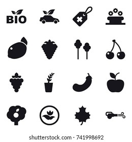 16 vector icon set : bio, eco car, flower bed, berry, trees, cherry, grape, seedling, eggplant, apple, garden, ecology, maple leaf, blower