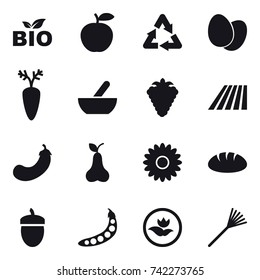16 vector icon set : bio, mortar, berry, field, eggplant, pear, flower, bread, acorn, peas, ecology, rake