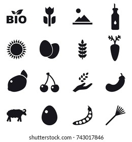 16 vector icon set : bio, landscape, cherry, harvest, eggplant, sheep, egg, peas, rake