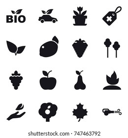 16 vector icon set : bio, eco car, flower, berry, trees, grape, apple, pear, sprouting, hand leaf, garden, maple leaf, blower