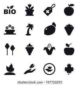 16 vector icon set : bio, flower, flower bed, palm, berry, trees, grape, corn, apple, sprouting, hand leaf, ecology, maple leaf