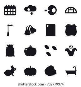 16 vector icon set : calendar, cloude service, greenhouse, outdoor light, flippers, cutting board, seeds, corn, rabbit, pumpkin, pile of garbage, bath