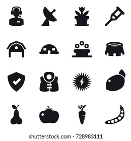 16 vector icon set : call center, satellite antenna, flower, barn, dome house, flower bed, stadium, life vest, pear, tomato, carrot, peas