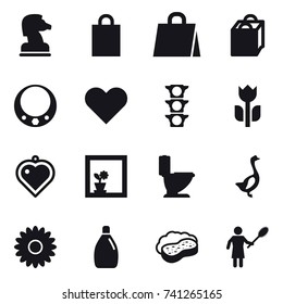 16 vector icon set : chess horse, shopping bag, necklace, heart pendant, flower in window, toilet, goose, flower, cleanser, sponge with foam, woman with pipidaster