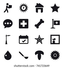 16 vector icon set : courier, sun power, home, star, ballon, outdoor light, starfish, flower in window, drop, ladle, flower