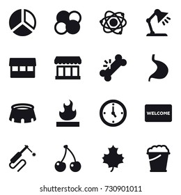 16 vector icon set : diagram, atom core, atom, table lamp, market, stadium, watch, welcome mat, cherry, maple leaf, foam bucket