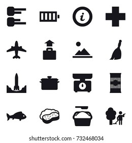 16 vector icon set : diagram, battery, info, airplane, baggage, landscape, broom, pan, kitchen scales, fish, sponge with foam, washing powder, garden cleaning