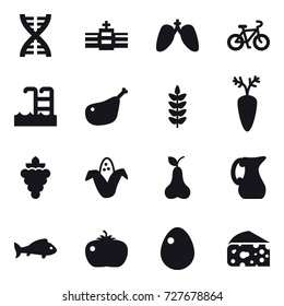 16 vector icon set : dna, bike, pool, grape, corn, pear, jug, fish, tomato, egg, cheese