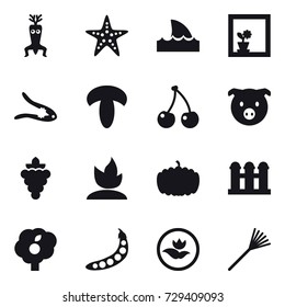 16 vector icon set : dna modify, starfish, shark flipper, flower in window, walnut crack, cherry, pig, grape, sprouting, pumpkin, grain elevator, garden, peas, ecology, rake