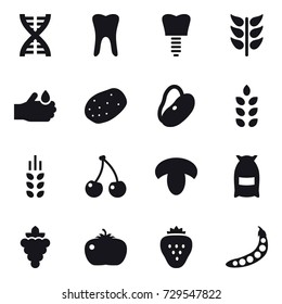 16 vector icon set : dna, spikelets, cherry, mushroom, flour, grape, tomato, strawberry, peas
