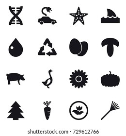 16 vector icon set : dna, electric car, starfish, shark flipper, drop, pig, goose, flower, pumpkin, spruce, carrot, ecology, rake