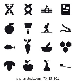 16 vector icon set : dna, tourist, walnut crack, mortar, honeycombs, mushroom, apple, pear, tooth brush