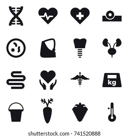 16 vector icon set : dna, bucket, berry, thermometer