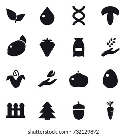 16 vector icon set : drop, berry, flour, harvest, corn, hand leaf, tomato, egg, grain elevator, spruce, acorn, carrot