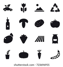 16 vector icon set : eco car, landscape, berry, field, flour, seedling, pumpkin, carrot, peas