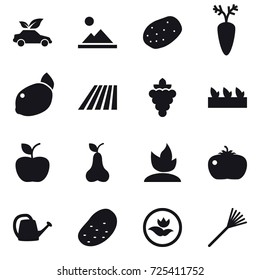 16 vector icon set : eco car, landscape, field, grape, seedling, apple, pear, sprouting, tomato, watering can, potato, ecology, rake