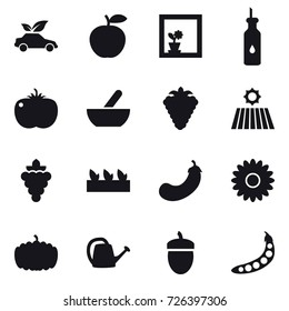 16 vector icon set : eco car, flower in window, mortar, berry, field, grape, seedling, eggplant, flower, pumpkin, watering can, acorn, peas