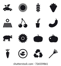 16 vector icon set : eco car, berry, field, cherry, seedling, eggplant, sheep, flower, pumpkin, tomato, carrot, ecology, recycling, rake