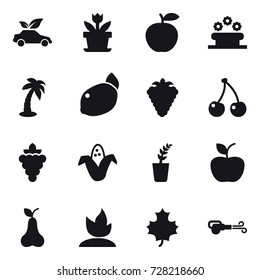 16 vector icon set : eco car, flower, flower bed, palm, berry, cherry, grape, corn, seedling, apple, pear, sprouting, maple leaf, blower