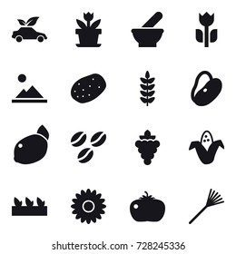 16 vector icon set : eco car, flower, landscape, coffee seeds, grape, corn, seedling, tomato, rake