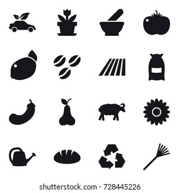 16 vector icon set : eco car, flower, coffee seeds, field, flour, eggplant, pear, sheep, watering can, bread, recycling, rake