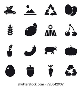 16 vector icon set : eco car, landscape, field, cherry, seedling, eggplant, sheep, pumpkin, egg, acorn, carrot, recycling