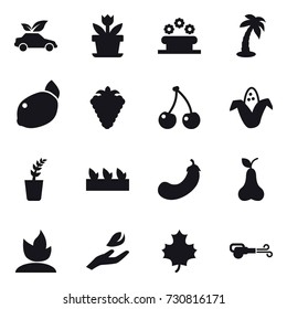 16 vector icon set : eco car, flower, flower bed, palm, berry, cherry, corn, seedling, eggplant, pear, sprouting, hand leaf, maple leaf, blower